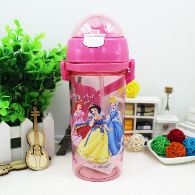 princess water bottle 550ml